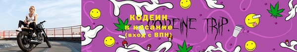 не бодяженный Бородино