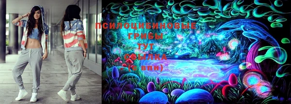 соль ск Бронницы