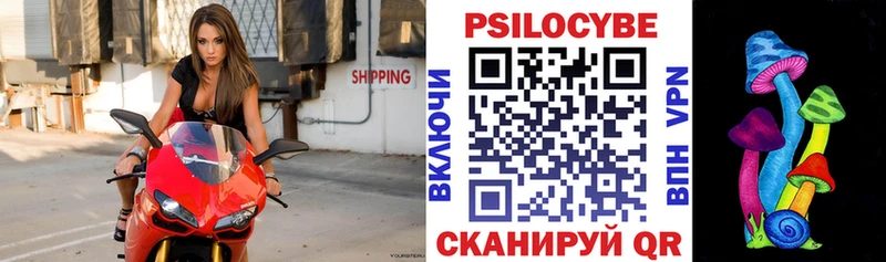 Псилоцибиновые грибы Psilocybe  kraken онион  Дербент 